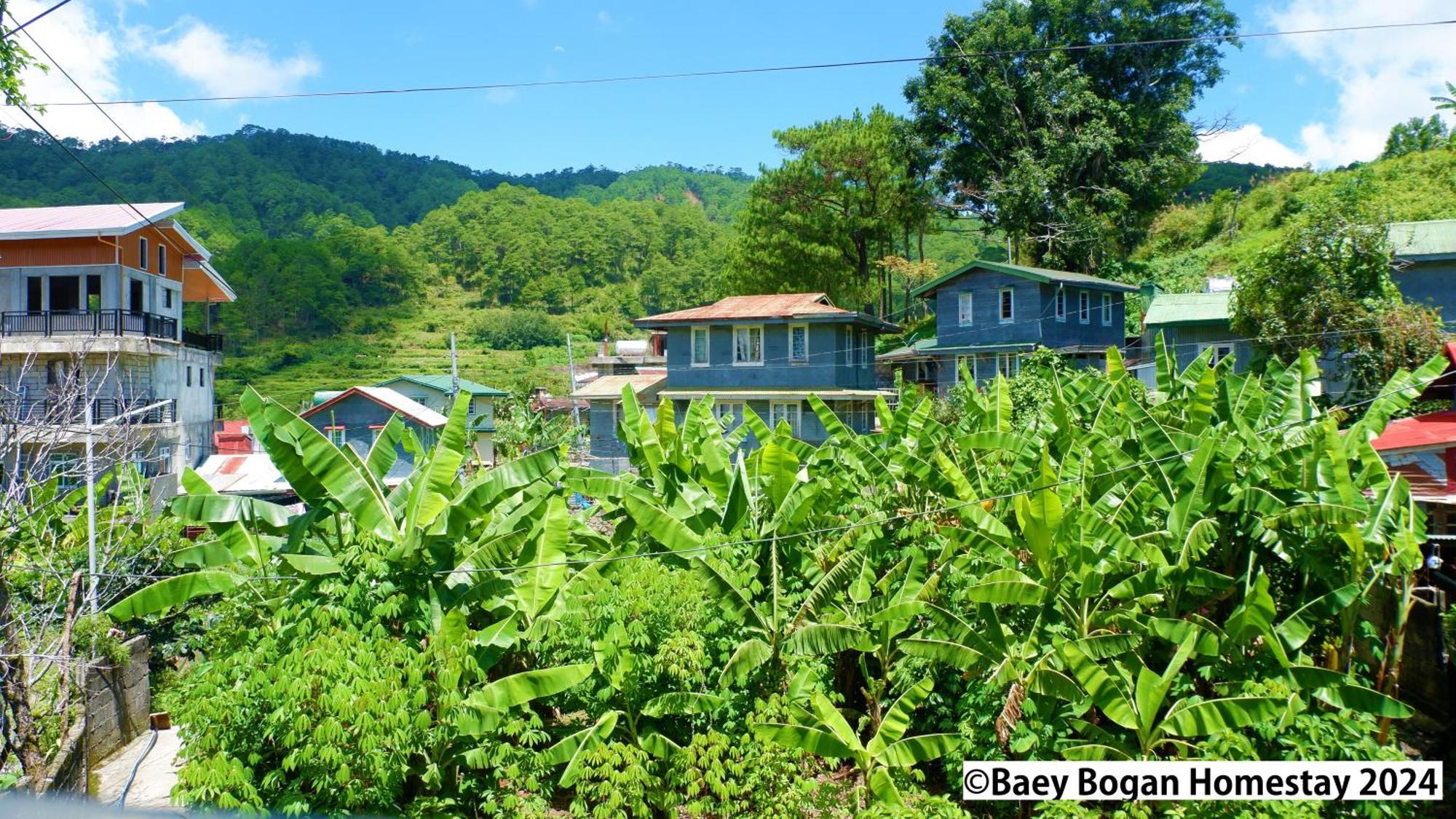 Baey Bogan Homestay Sagada Exterior photo