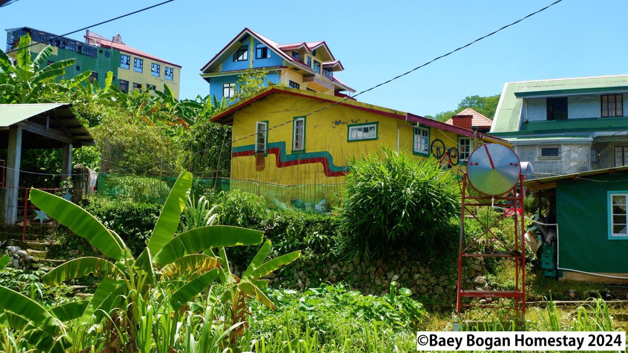 Baey Bogan Homestay Sagada Exterior photo